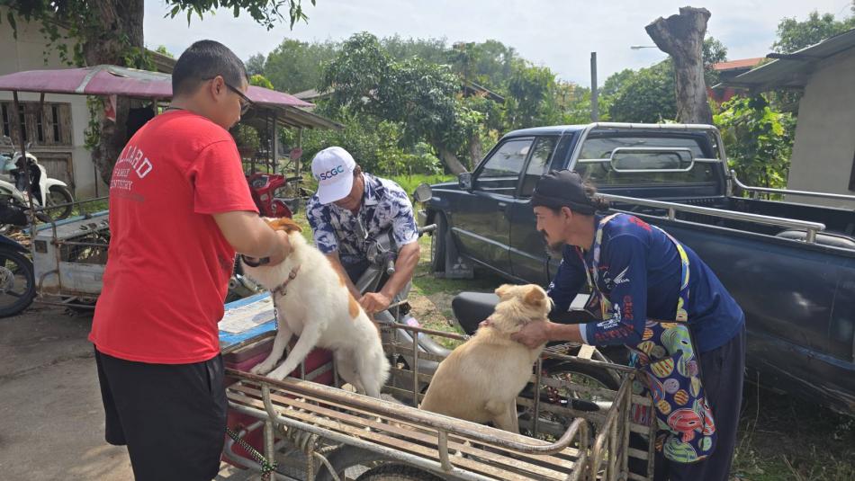 เทศบาลตำบลทับมาลงพื้นที่หมู่ที่ 7 เดินหน้าฉีดวัคซีนป้องกันโรคพิษสุนัขบ้า สร้างความปลอดภัยให้ชุมชนอย่างต่อเนื่อง