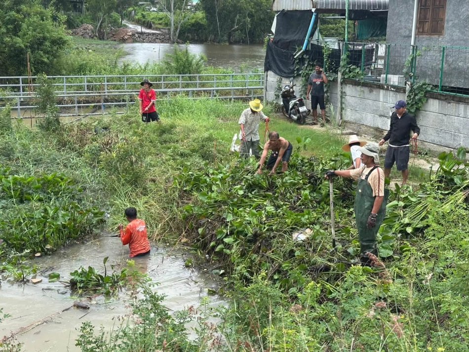 เทศบาลตำบลทับมา ร่วมชุมชนบ้านแหลมมะขาม เก็บผักตบชวา เปิดทางน้ำ เพิ่มประสิทธิภาพการระบายน้ำ