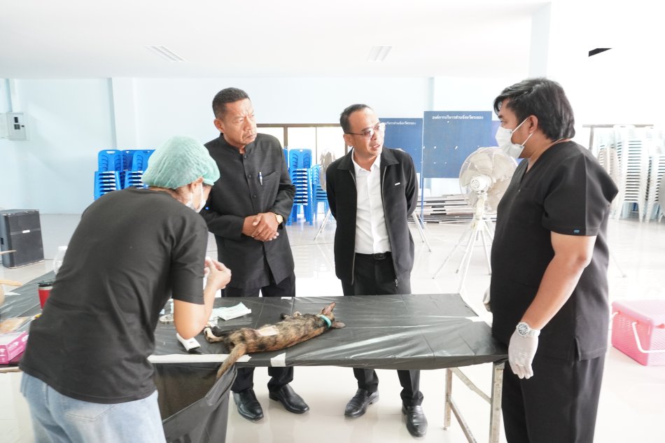 เทศบาลตำบลทับมา จัดโครงการควบคุมประชากรสุนัขและแมวในพื้นที่ ประจำปีงบประมาณ 2569